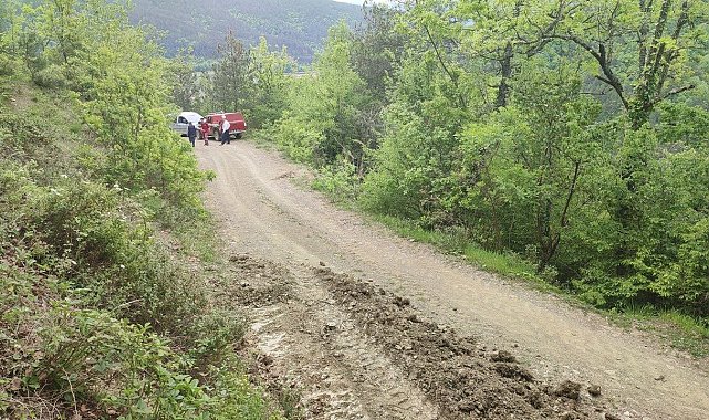 Ormanda feci kaza: 1 yaralı