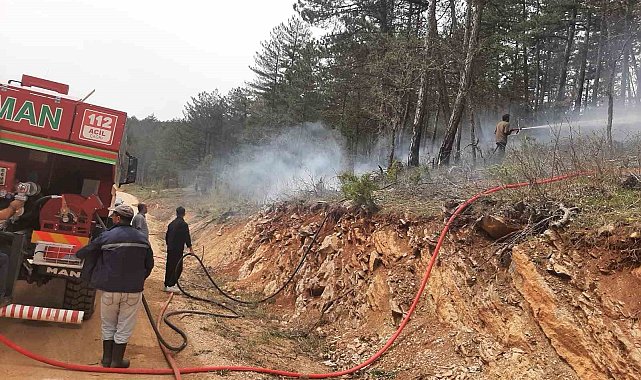 Örtü yangını büyümeden söndürüldü