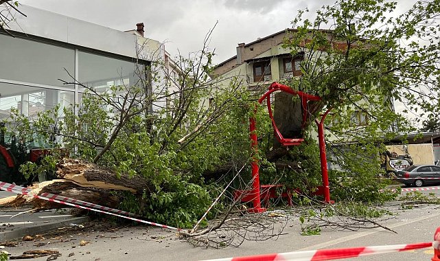 Otobüs durağına ağaç devrildi