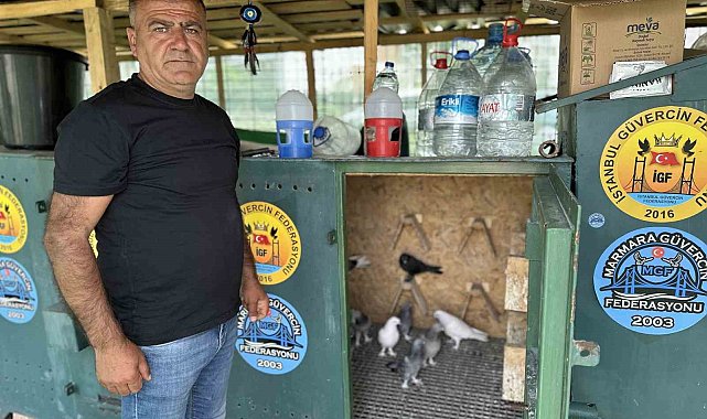 Pendik'te 11 bin Euro fiyatındaki güvercini çelik kulübelerde besliyor