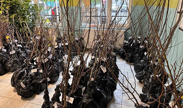 Rize'de vatandaşlara bin 500 meyve fidanı dağıtıldı