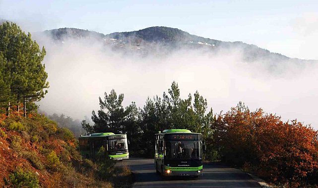 Sakarya'da arefe gününde mezarlıklara ulaşım ücretsiz