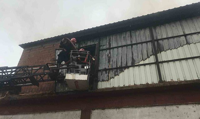 Sakarya'da orman ürünleri fabrikasında korkutan yangın