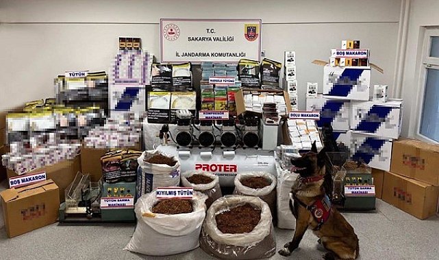 Sakarya'da uyuşturucu ve kaçakçılık operasyonları: 229 şüpheli yakalandı, 5'i tutuklandı