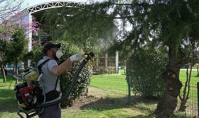 Samsun'da 25 bin noktada vektörle mücadele
