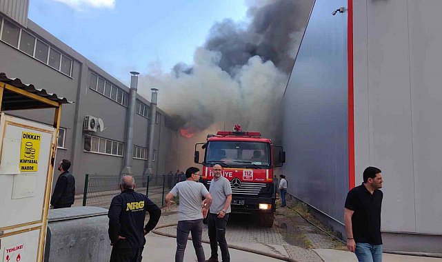 Sandalye fabrikası alevlere teslim oldu