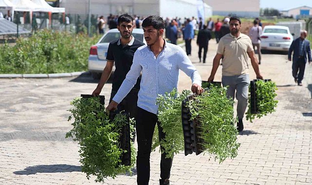 Şanlıurfa'da çiftçilere 2 milyon sebze fidesi dağıtıldı