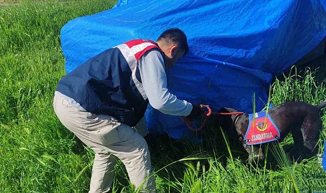 Şanlıurfa'da silah kaçakçılarına operasyon: 3 gözaltı