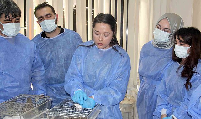 Siirt Üniversitesinden deney hayvanları kullanım kursu