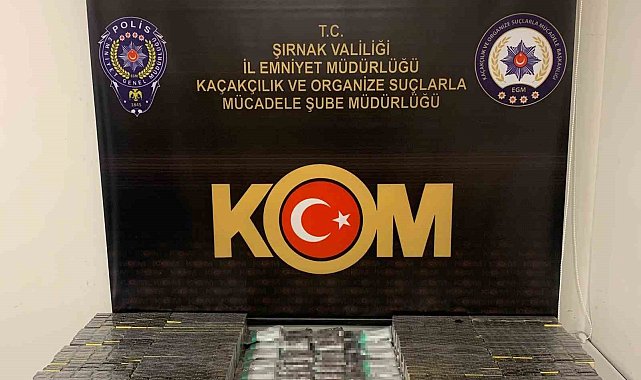 Şırnak'ta asayiş ve kaçakçılık operasyonu: 62 gözaltı