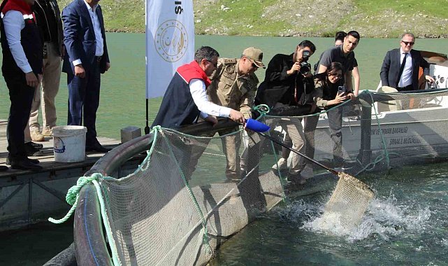 Şırnak'ta kafeslerden 30 ton balık hasat edildi