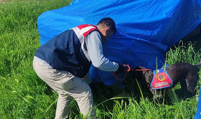 Siverek'te çok sayıda silah ve mühimmatı ele geçirildi