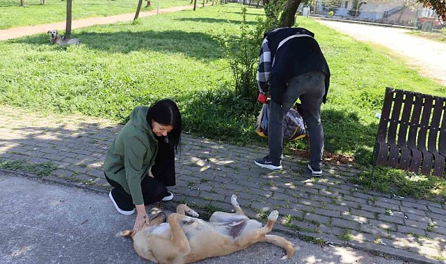 Sokak hayvanlarını unutmadılar