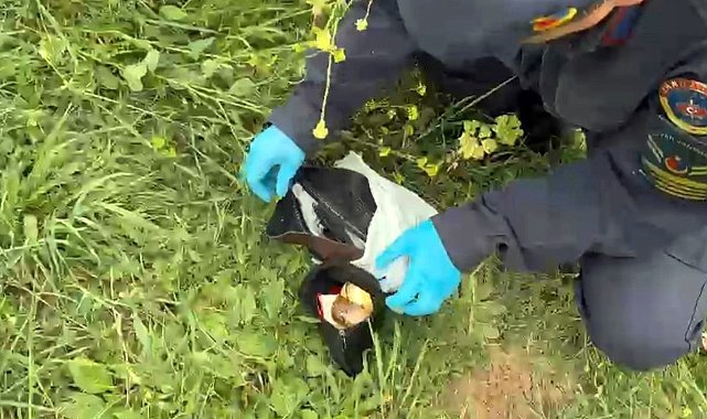 Sokak köpeği, ziynet eşyası dolu çantayı alıp gitti