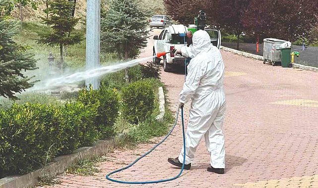 Sungurlu&#039;da vektörel mücadele çalışmaları hızlandı