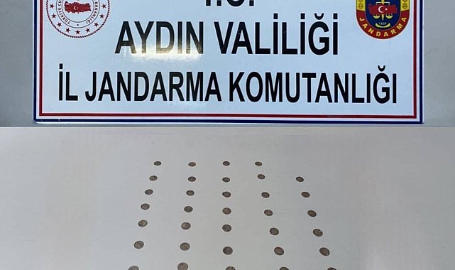 Tanesi 40 bin TL'ye satacaktı, jandarma engeline takıldı