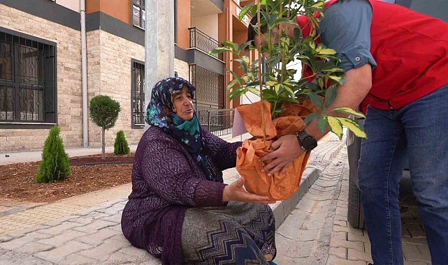 Tebrik çiçekleri depremzedelerin yuvalarını süslüyor
