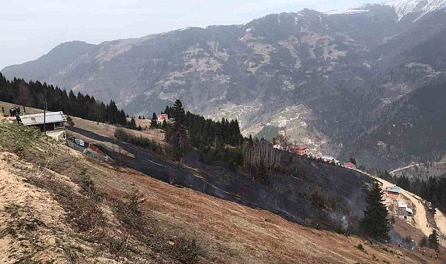 Trabzon'da orman yangını
