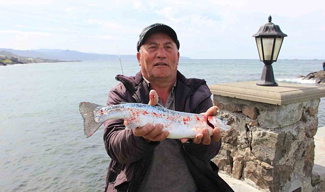 Trabzon'un Çarşıbaşı ilçesi açıklarında somon kafesleri yırtıldı, oltasını alan sahile koştu