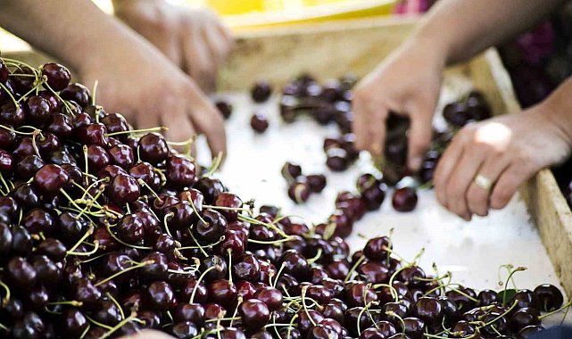 Türkiye, meyve üretiminde dünyada 4'üncü sırada