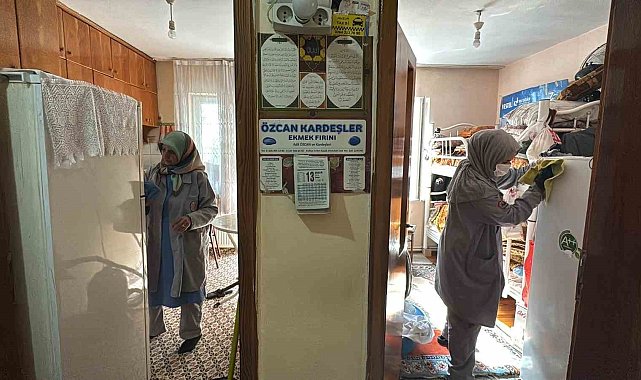 Ulu çınarların ev temizliği belediyeden