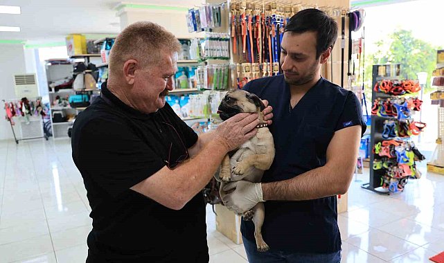 Uzmanından köpek besleyenlere uyarı: "Köpekleri ağızlık ile dolaştırın"
