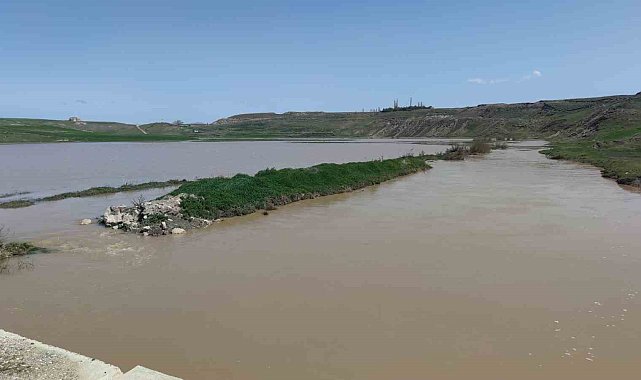 Van Gölü&#039;ne dökülen Karasu Çayı eski günlerine kavuştu