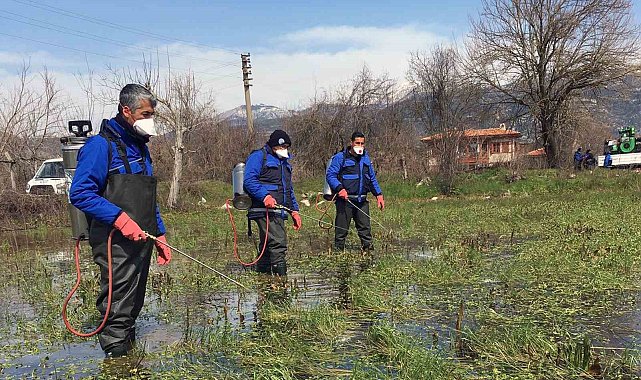 Vektörle mücadele devam ediyor