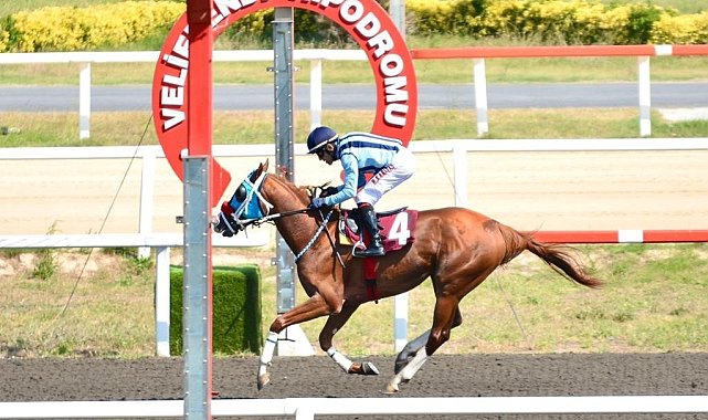 Veliefendi Hipodromu'nda yarış şöleni başlıyor