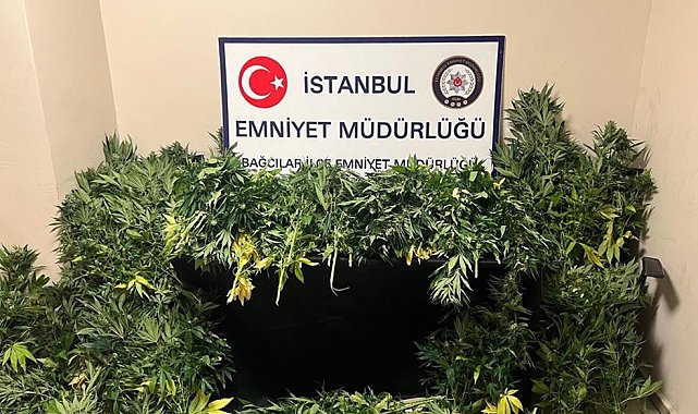 Villa değil uyuşturucu serası