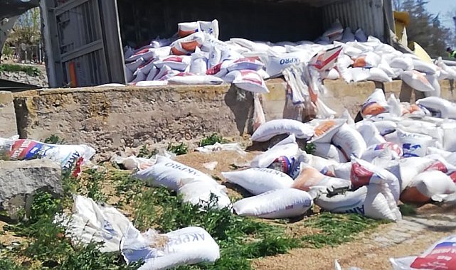 Virajı alamayan kamyon devrildi: 1 yaralı