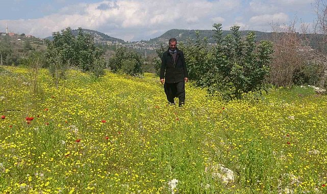Yayla ve köyler baharla yeşile bürünerek renklendi