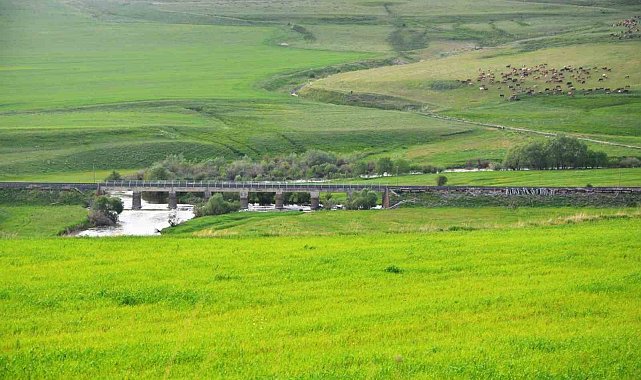 Yem bitkileri destekleme süreci başladı