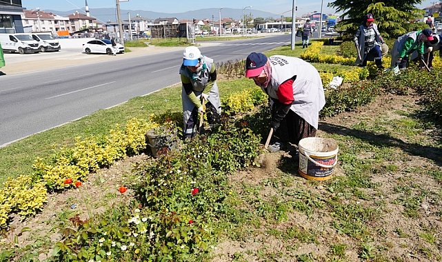 Yeşil Düzce için çalışıyorlar