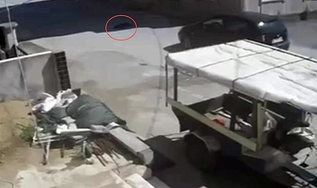 Yolda yatan köpeğin üzerinden otomobili ile geçti