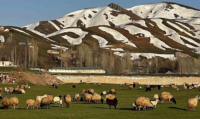 Yüksekova'da Afrika'yı aratmayan görüntüler