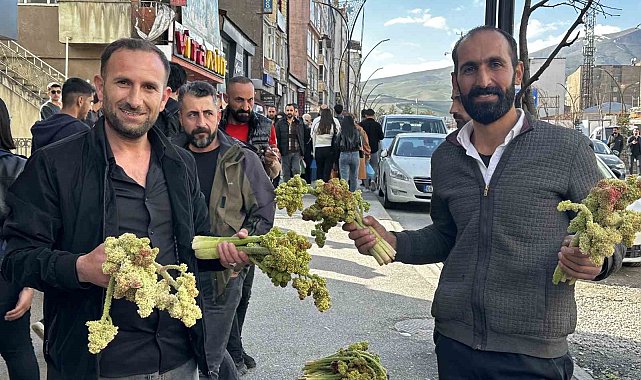 Yüksekova'da yayla muzunun destesi 100 TL'den satışa çıkarıldı