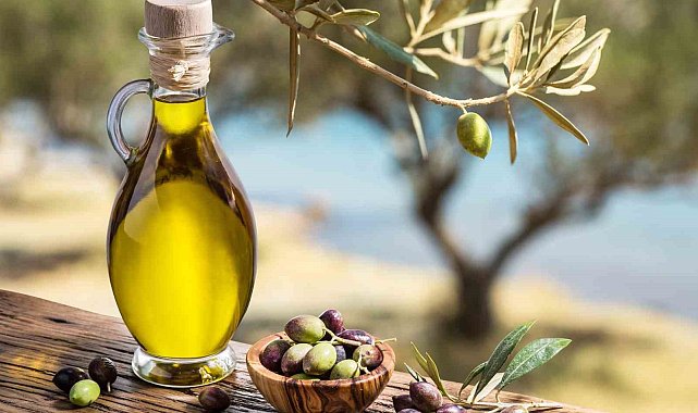 Zeytinyağında Mart ayı ihracatı 66 milyon dolar oldu