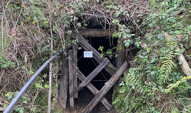Zonguldak'ta hapis cezası ile aranan 20 şüpheli yakalandı