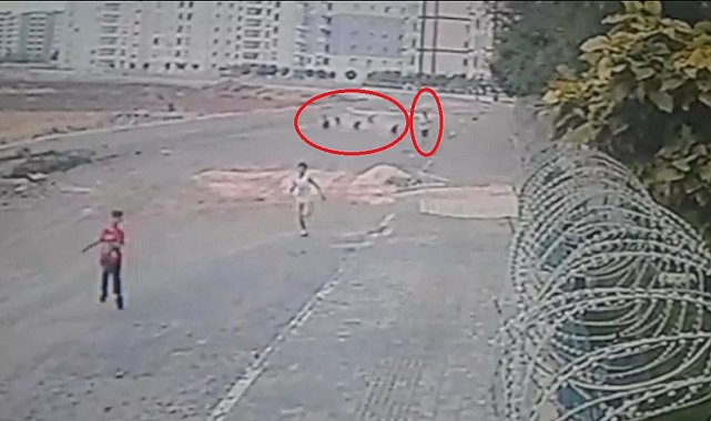 10 yaşındayken 8 sokak köpeğinin saldırısına uğrayan Yasin dehşet anlarını anlattı