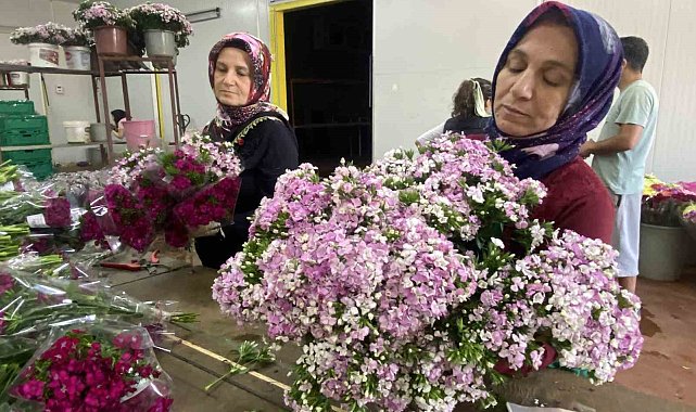 100 bin anne için 100 bin demet çiçek hazır