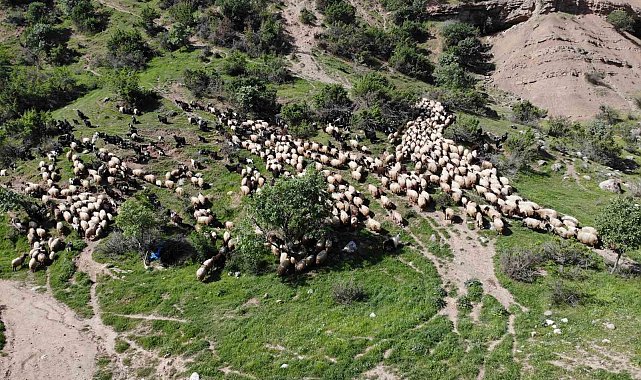 5 bin insan, 400 bin küçükbaş hayvanın zorlu yolcuğu başladı