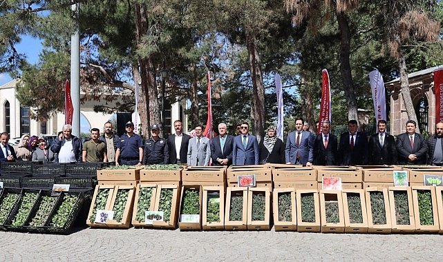 61 bin 780 adet yerli ve milli sebze fidesi dağıtıldı