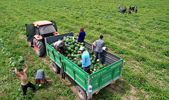 Adana karpuzunun marka değeri timlerle korunuyor