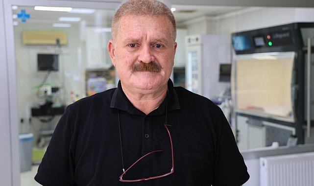 Adana sokaklarında yaklaşık 200 bin köpek var