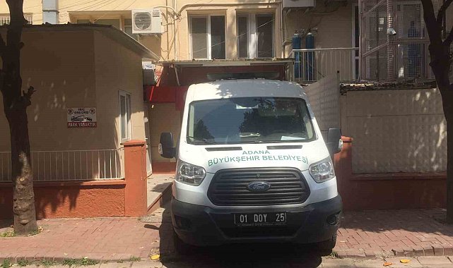 Adana'da köpek sürüsü yaşlı kadını parçaladı