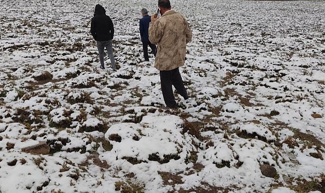 Adilcevaz&#039;ın yüksek kesimleri beyaza büründü
