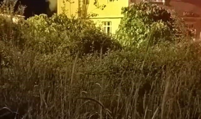 Alaplı'da 2 binanın çatı katı alev alev yandı