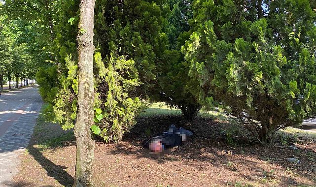 Alkolden ayakta duramadı, 'Tansiyonum var' dedi