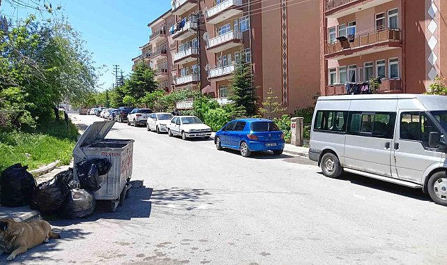 Ankara'da 15 yaşındaki çocuk sırtından bıçakladığı ablasını öldürdü